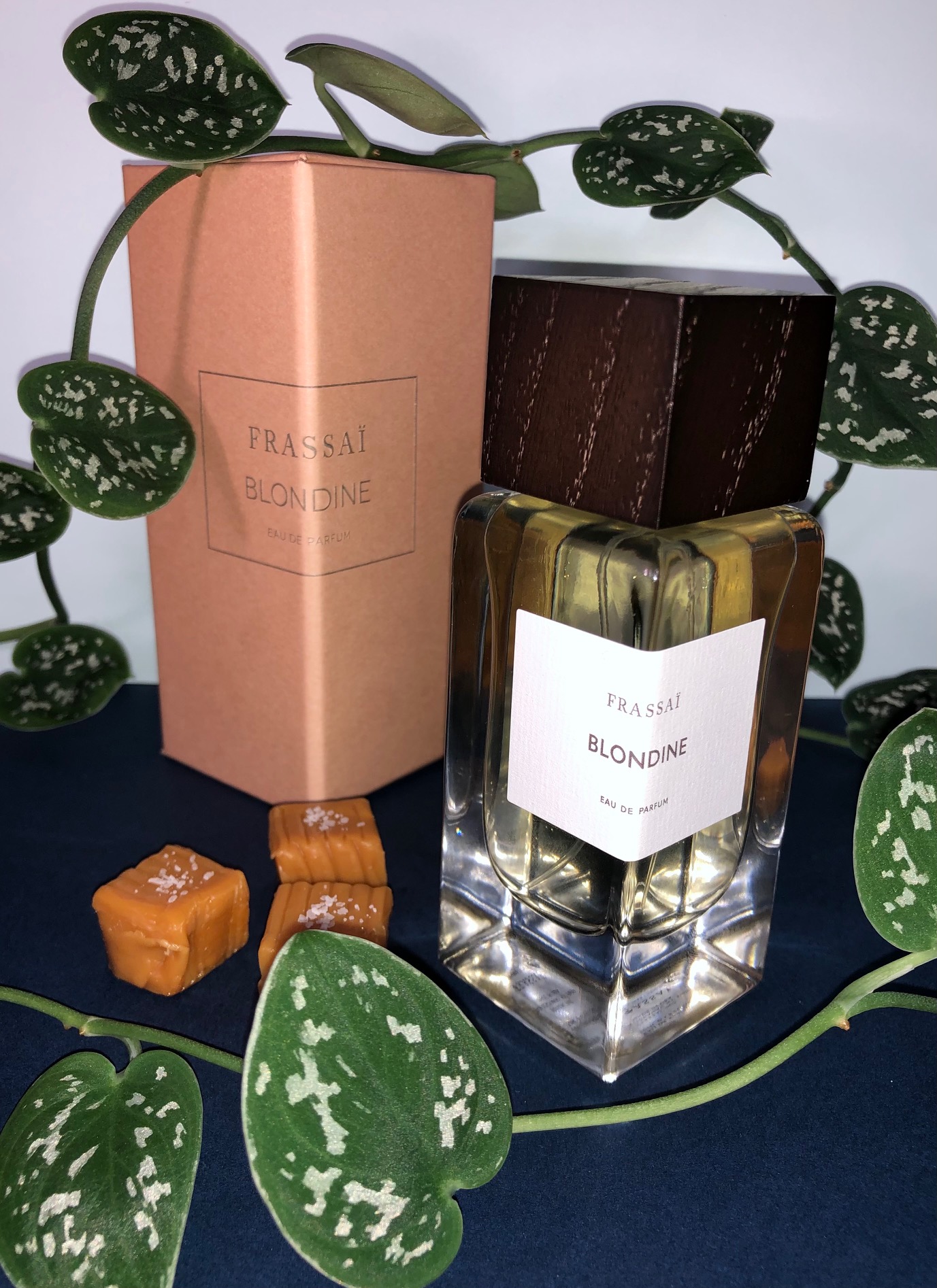 Frassaï Blondine - I Sniff Before I Sleep