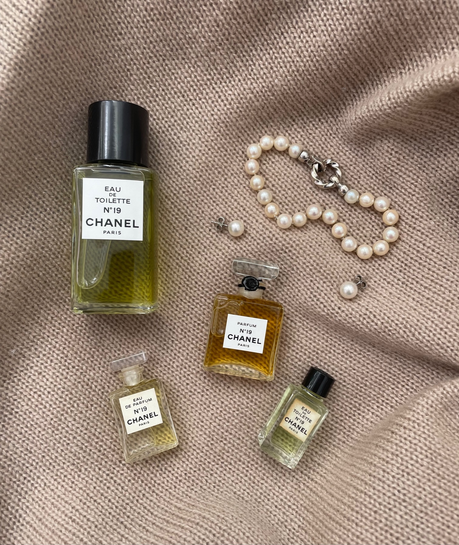 Review: CHANEL NO 19 (EDT, EDP & Poudre Compared!) 